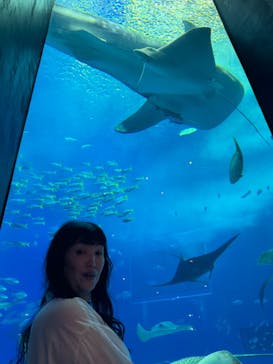 沖縄美ら海水族館に投稿された画像（2024/2/15）