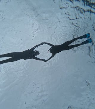 オースリーシュノーケル宮古島に投稿された画像（2024/2/15）