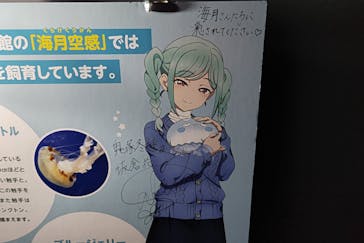 サンシャイン水族館に投稿された画像（2024/2/15）