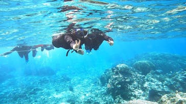 宮古島 ADVENTURE PiPi（ミヤコジマ アドベンチャー ピピ）に投稿された画像（2024/2/15）