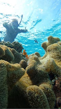 宮古島 ADVENTURE PiPi（ミヤコジマ アドベンチャー ピピ）に投稿された画像（2024/2/15）