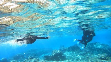 宮古島 ADVENTURE PiPi（ミヤコジマ アドベンチャー ピピ）に投稿された画像（2024/2/15）