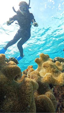 宮古島 ADVENTURE PiPi（ミヤコジマ アドベンチャー ピピ）に投稿された画像（2024/2/15）