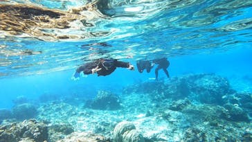 宮古島 ADVENTURE PiPi（ミヤコジマ アドベンチャー ピピ）に投稿された画像（2024/2/15）