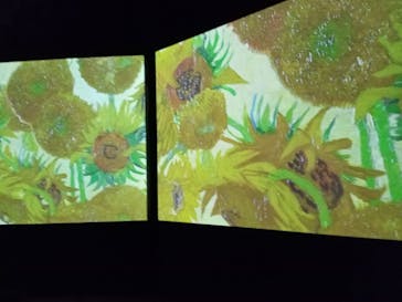 ゴッホ・アライブに投稿された画像（2024/2/15）