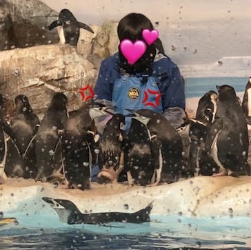 名古屋港水族館に投稿された画像（2024/2/15）