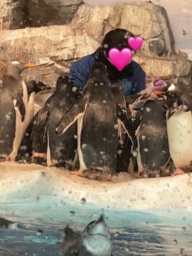 名古屋港水族館に投稿された画像（2024/2/15）