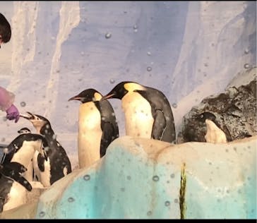 名古屋港水族館に投稿された画像（2024/2/15）