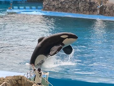 名古屋港水族館に投稿された画像（2024/2/15）