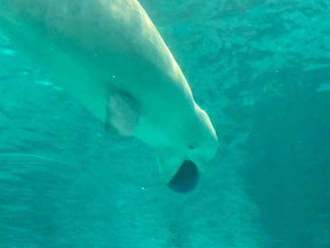 名古屋港水族館に投稿された画像（2024/2/15）