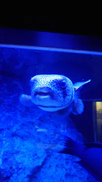 すみだ水族館に投稿された画像（2024/2/15）