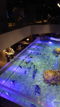 すみだ水族館に投稿された画像（2024/2/15）