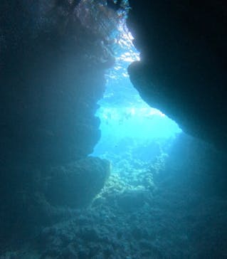 青の洞窟専門店　沖縄ダイビングショップ和に投稿された画像（2024/2/14）