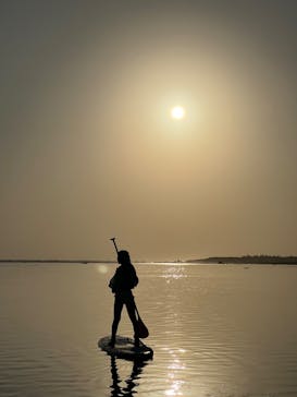 宮古島 ADVENTURE PiPi（ミヤコジマ アドベンチャー ピピ）に投稿された画像（2024/2/15）