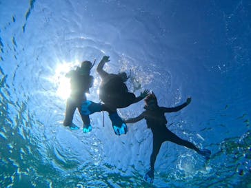 宮古島 ADVENTURE PiPi（ミヤコジマ アドベンチャー ピピ）に投稿された画像（2024/2/15）