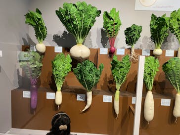 特別展「和食 ～日本の自然、人々の知恵～」に投稿された画像（2024/2/15）