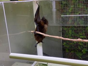 おきなわワールドに投稿された画像（2024/2/15）