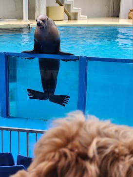 伊豆・三津シーパラダイスに投稿された画像（2024/2/15）