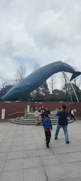 国立科学博物館に投稿された画像（2024/2/15）