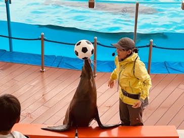 マリンワールド海の中道に投稿された画像（2024/2/15）