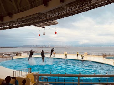 マリンワールド海の中道に投稿された画像（2024/2/15）