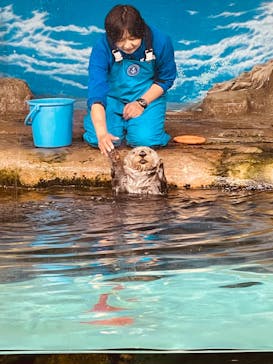 マリンワールド海の中道に投稿された画像（2024/2/15）