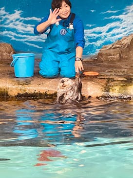 マリンワールド海の中道に投稿された画像（2024/2/15）