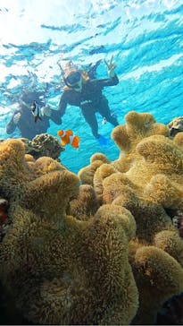 宮古島 ADVENTURE PiPi（ミヤコジマ アドベンチャー ピピ）に投稿された画像（2024/2/15）