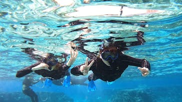 宮古島 ADVENTURE PiPi（ミヤコジマ アドベンチャー ピピ）に投稿された画像（2024/2/15）