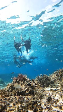 宮古島 ADVENTURE PiPi（ミヤコジマ アドベンチャー ピピ）に投稿された画像（2024/2/15）