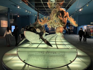 名古屋港水族館に投稿された画像（2024/2/15）