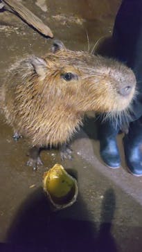 マクセル アクアパーク品川に投稿された画像（2024/2/16）