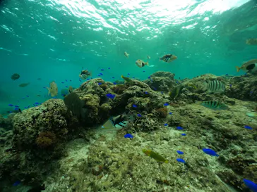 武藤潜水に投稿された画像（2024/2/16）