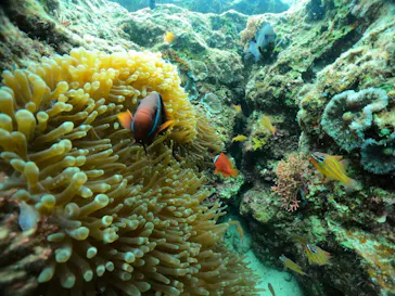 武藤潜水に投稿された画像（2024/2/16）