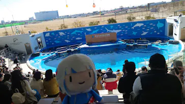 仙台うみの杜水族館に投稿された画像（2024/2/16）