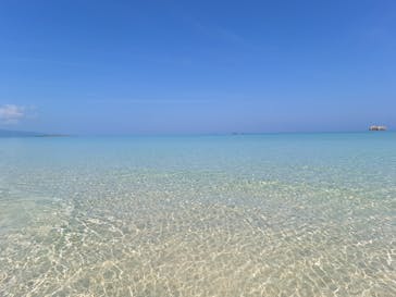 石垣島 ADVENTURE PiPi（イシガキジマアドベンチャーピピ）に投稿された画像（2024/2/16）