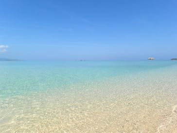 石垣島 ADVENTURE PiPi（イシガキジマアドベンチャーピピ）に投稿された画像（2024/2/16）