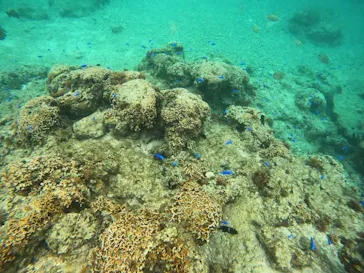 武藤潜水に投稿された画像（2024/2/16）