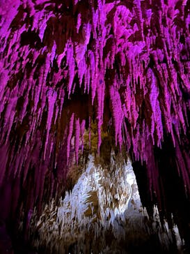 おきなわワールドに投稿された画像（2024/2/16）