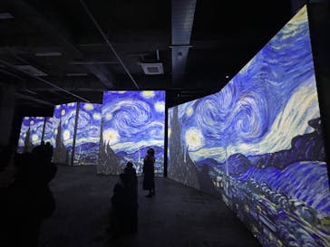 ゴッホ・アライブに投稿された画像（2024/2/16）