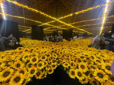 ゴッホ・アライブに投稿された画像（2024/2/16）