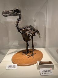 特別展「恐竜博2023」に投稿された画像（2024/2/16）