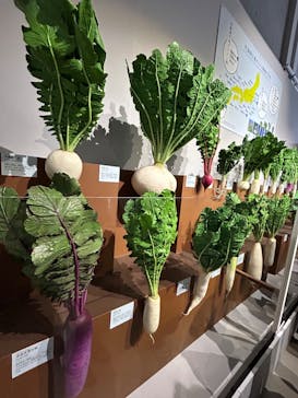 特別展「和食 ～日本の自然、人々の知恵～」に投稿された画像（2024/2/16）