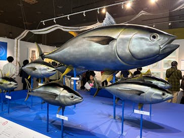 特別展「和食 ～日本の自然、人々の知恵～」に投稿された画像（2024/2/16）