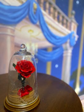 ディズニー・アニメーション・イマーシブ・エクスペリエンスに投稿された画像（2024/2/16）