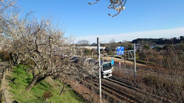 偕楽園本園に投稿された画像（2024/2/16）