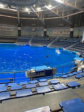 マクセル アクアパーク品川に投稿された画像（2024/2/16）