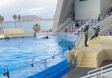 マリンワールド海の中道に投稿された画像（2024/2/16）