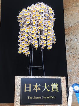 世界らん展2026-花と緑の祭典-に投稿された画像（2024/2/16）