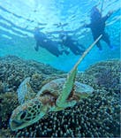 宮古島 ADVENTURE PiPi（ミヤコジマ アドベンチャー ピピ）に投稿された画像（2024/2/16）